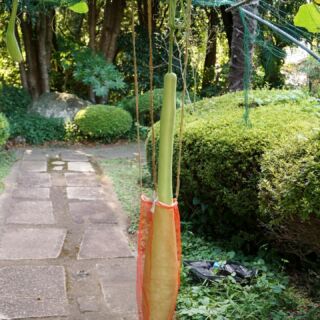 ひょうたん美術館